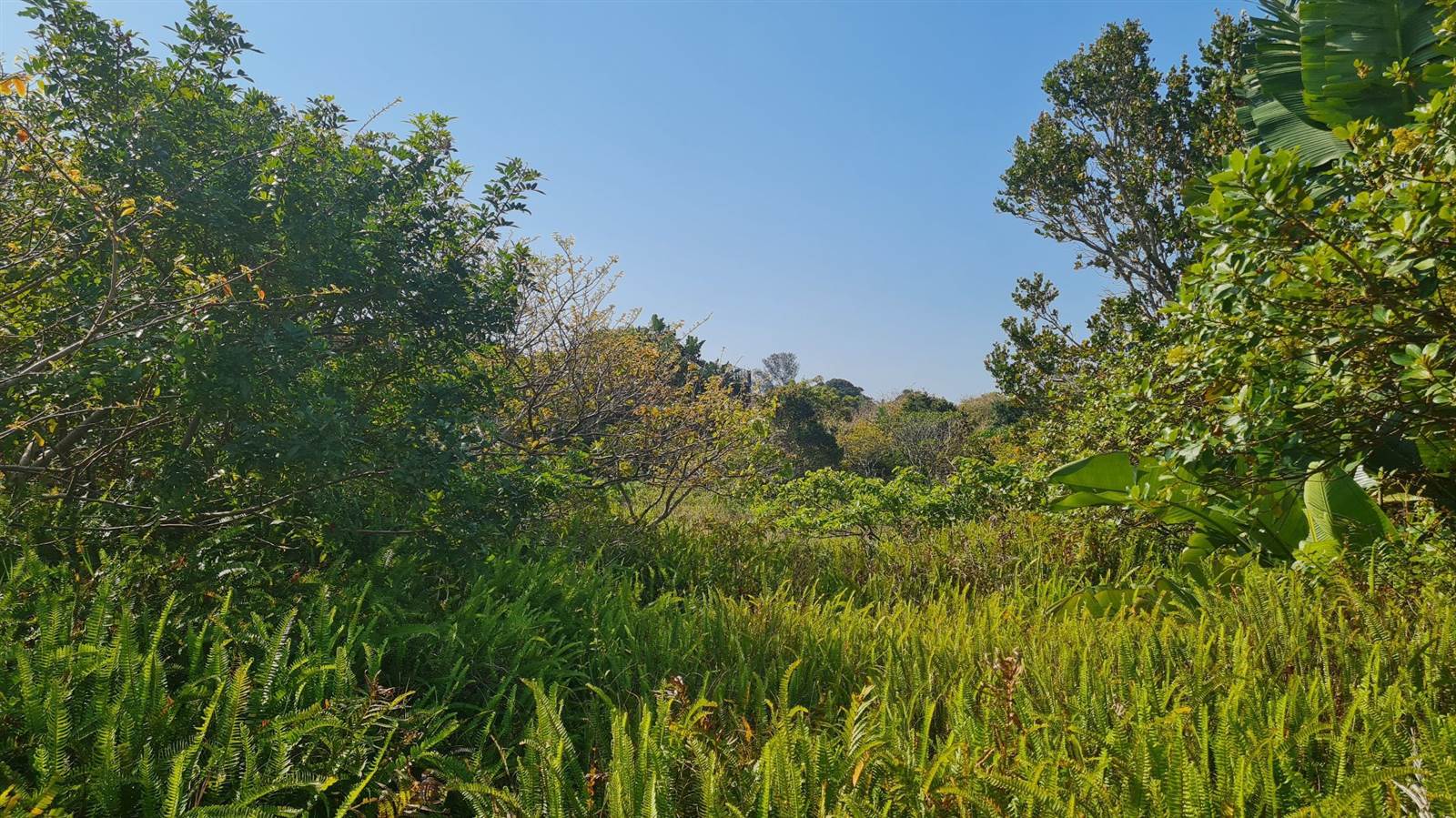 1975 m² Land available in Port Edward photo number 4