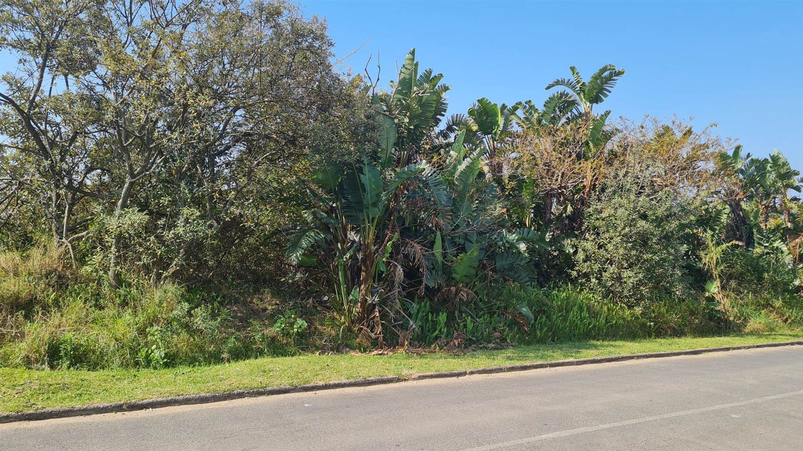 1975 m² Land available in Port Edward photo number 3