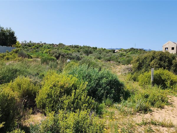 1382 m² Land available in Clanwilliam