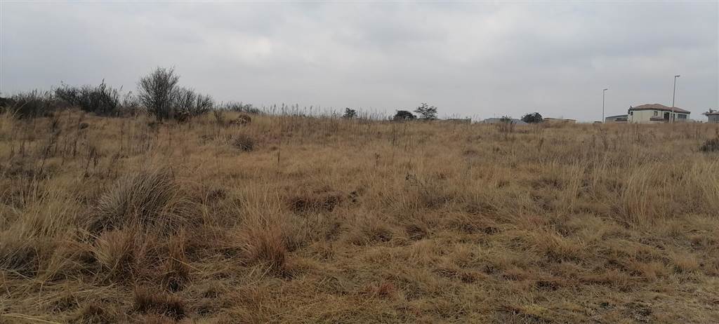 448 m² Land available in Berg en Dal photo number 7