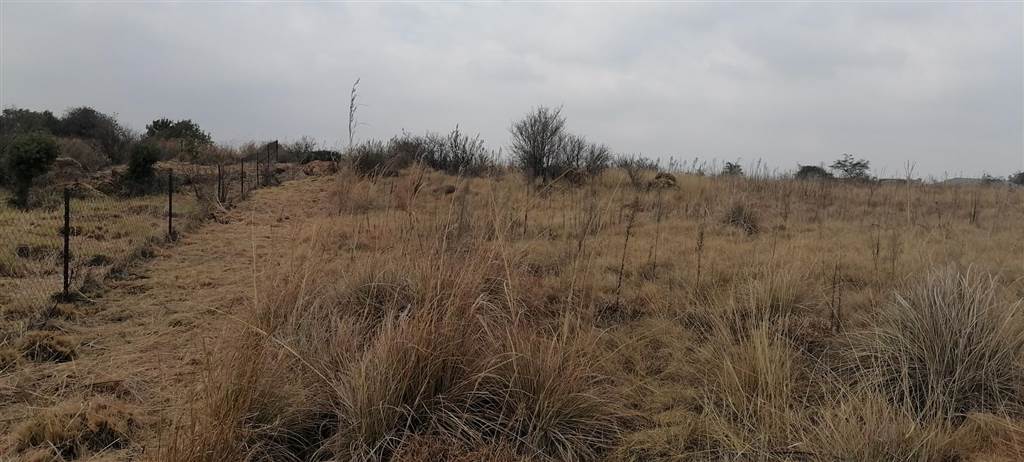 448 m² Land available in Berg en Dal photo number 10