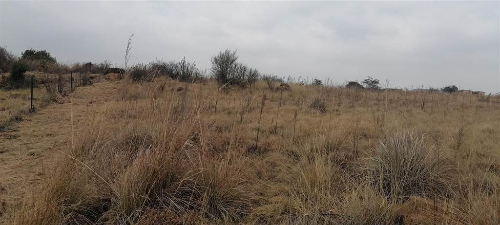448 m² Land available in Berg en Dal photo number 3