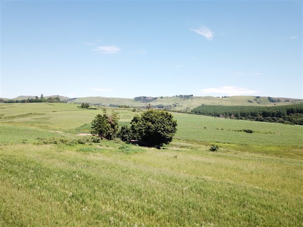 10 ha Smallholding 10 ha Smallholding