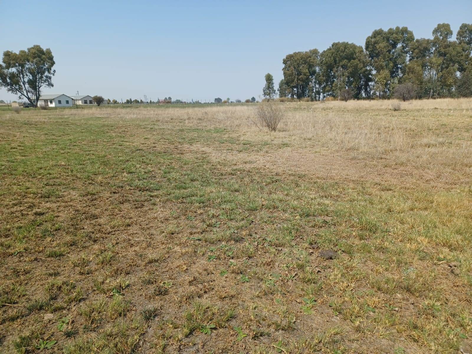 2.1 ha Land available in Mullerstuine photo number 5