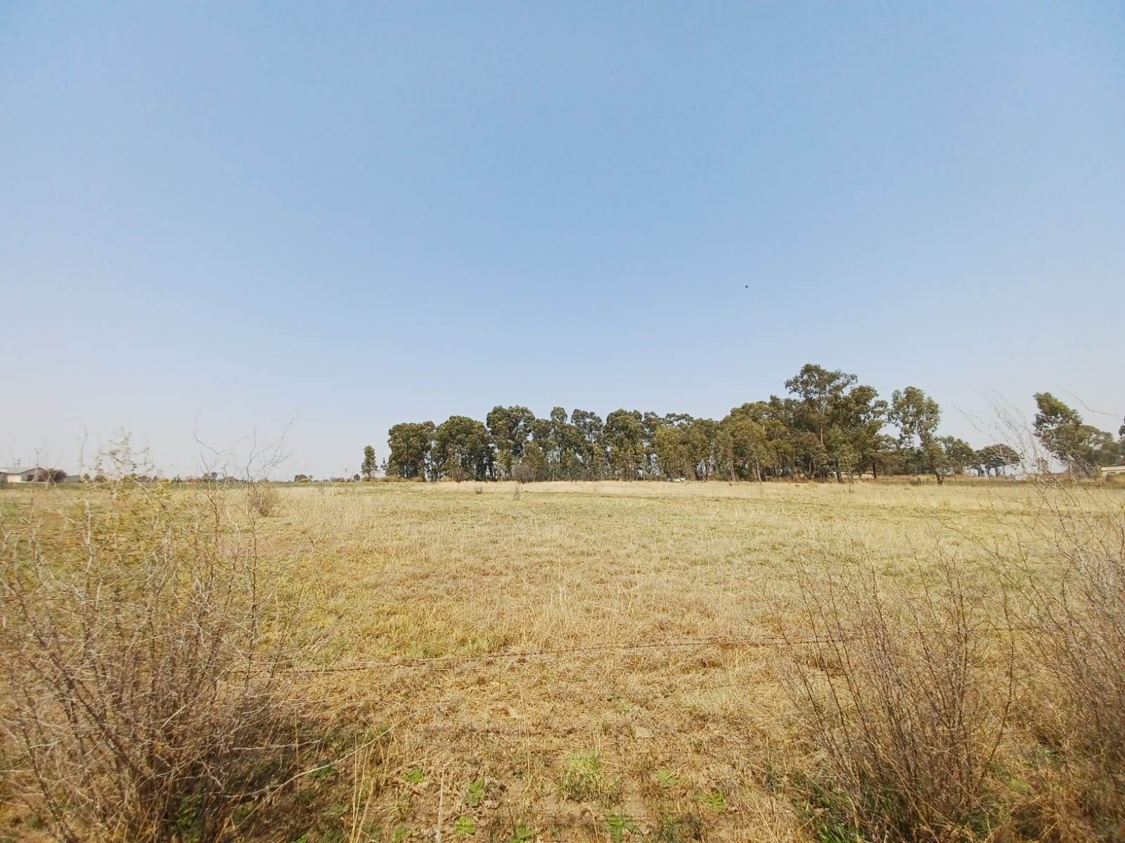 2.1 ha Land available in Mullerstuine photo number 8