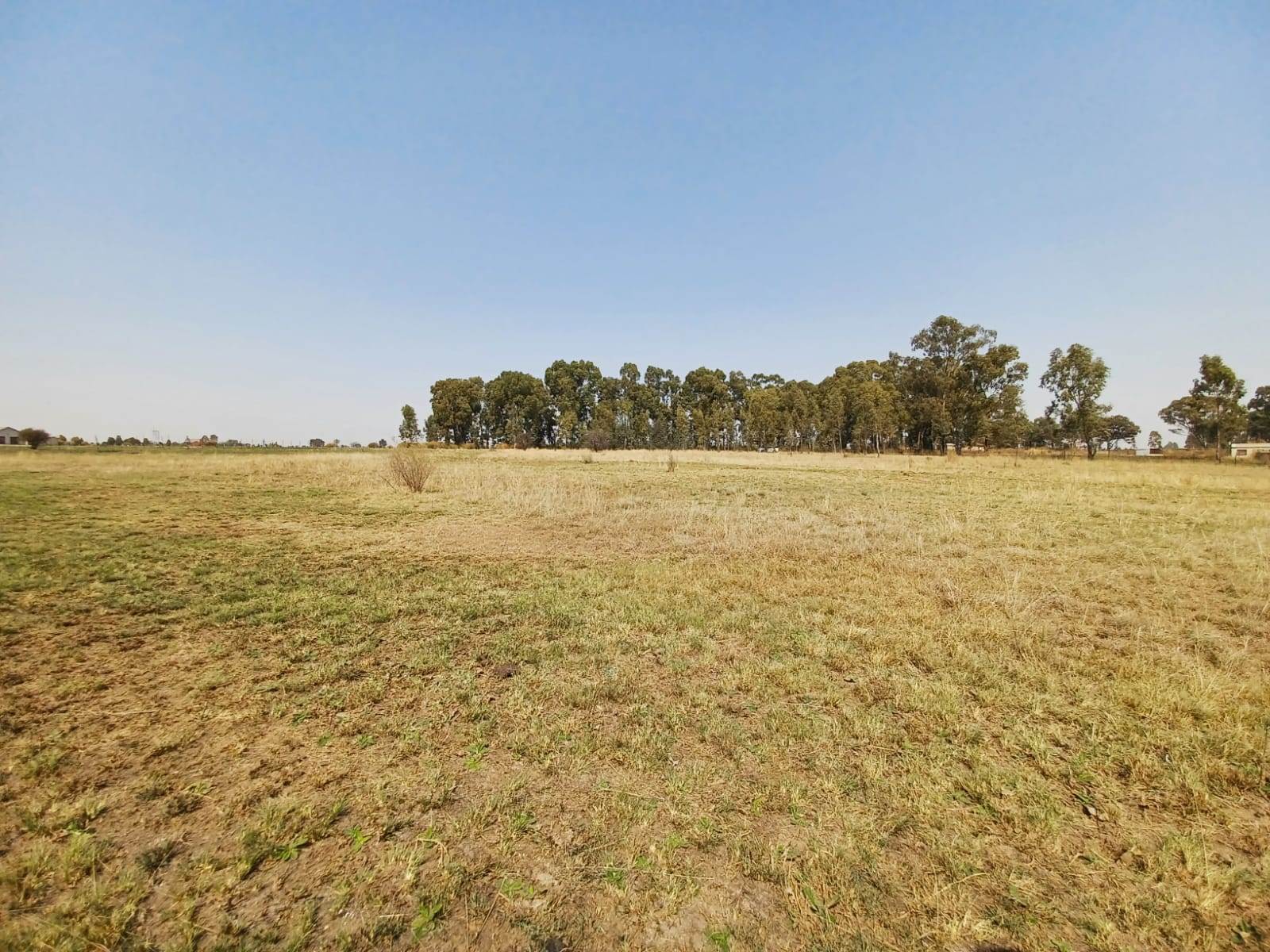 2.1 ha Land available in Mullerstuine photo number 7
