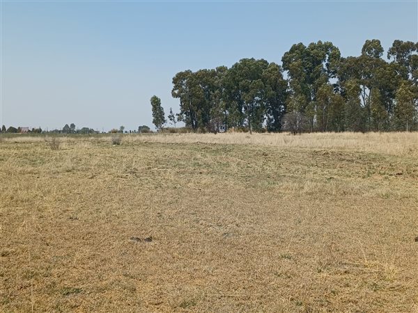 2.1 ha Land available in Mullerstuine