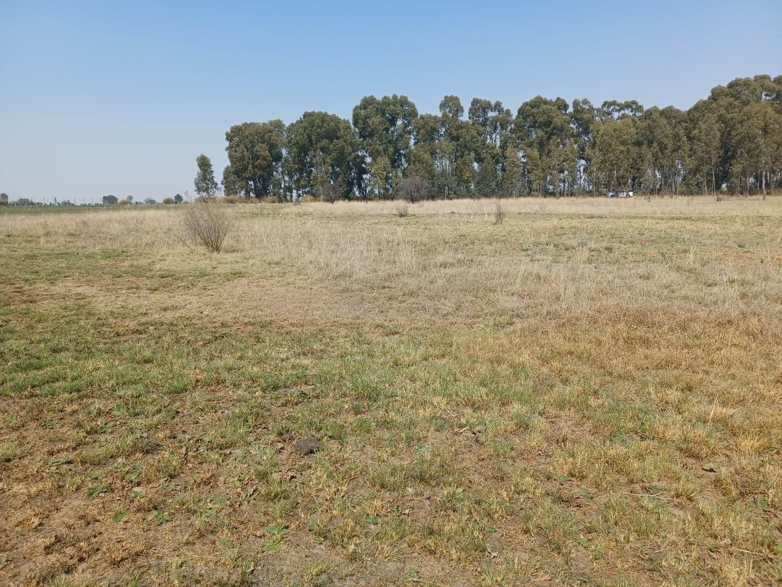 2.1 ha Land available in Mullerstuine photo number 3
