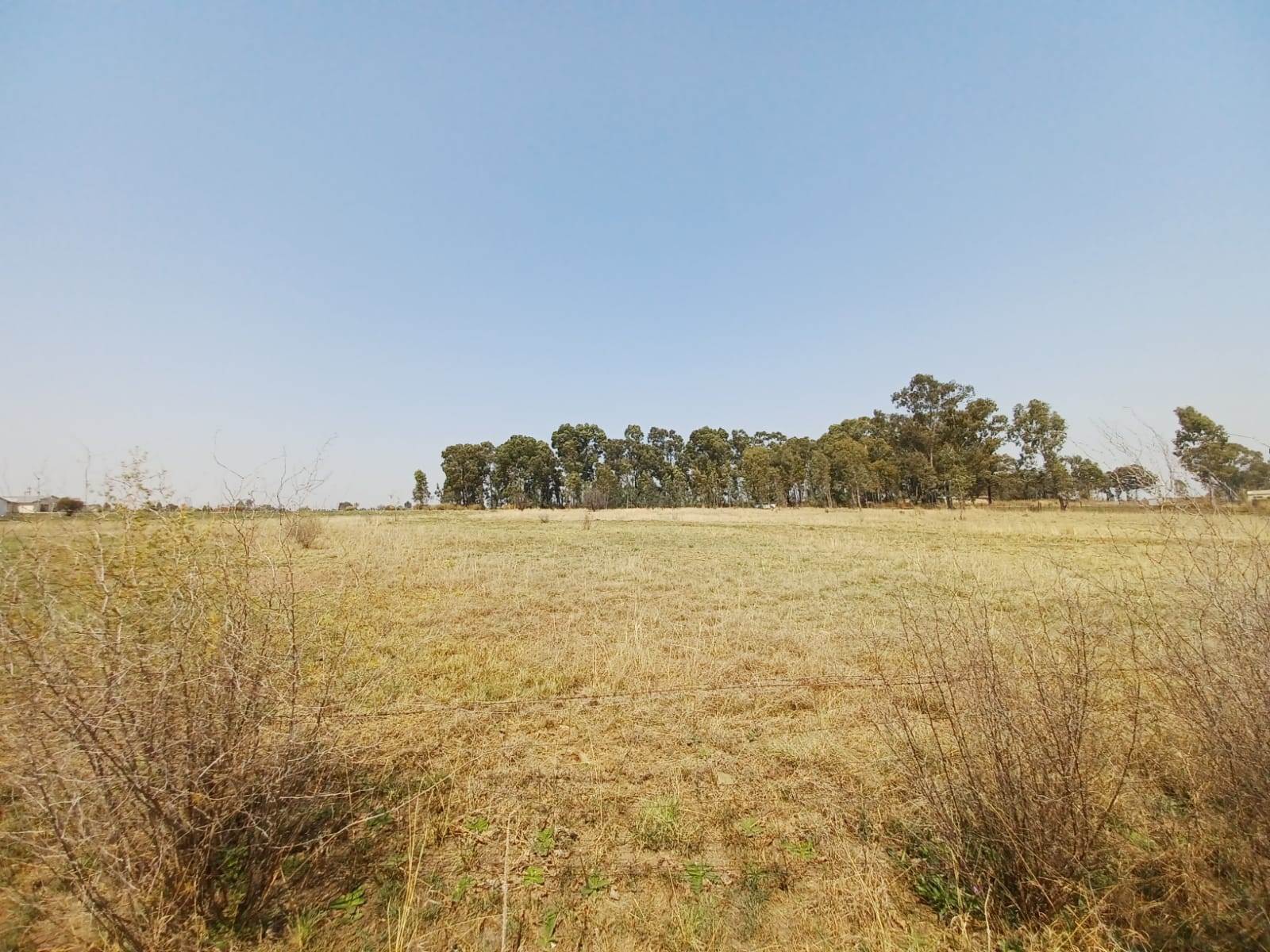 2.1 ha Land available in Mullerstuine photo number 4