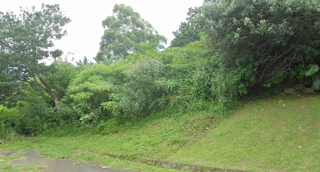 1081 m² Land available in Shelly Beach photo number 4