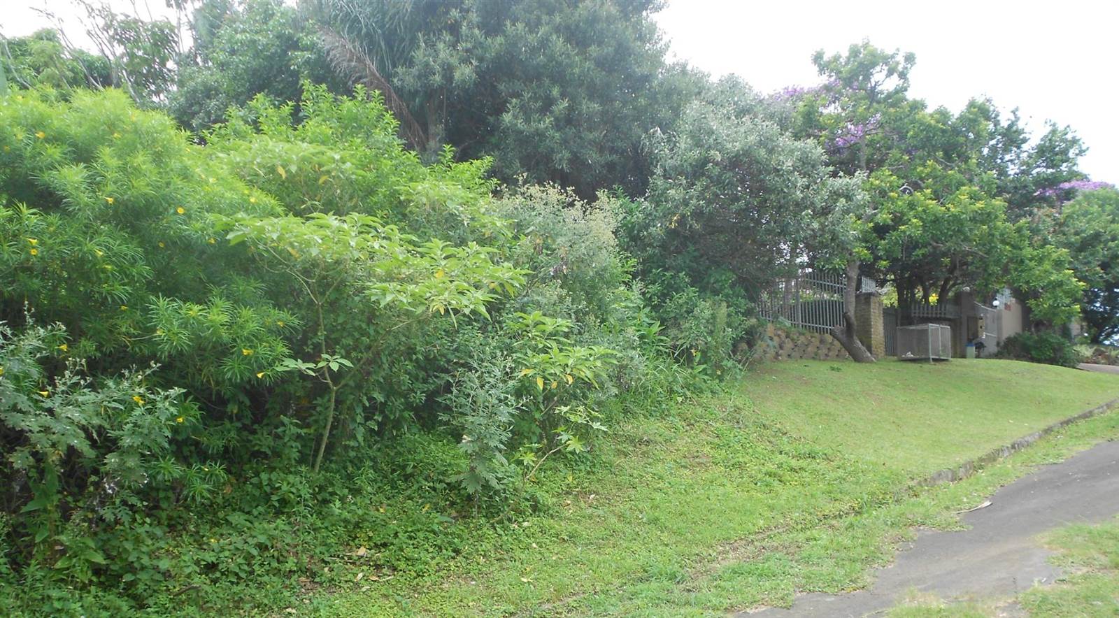 1081 m² Land available in Shelly Beach photo number 7