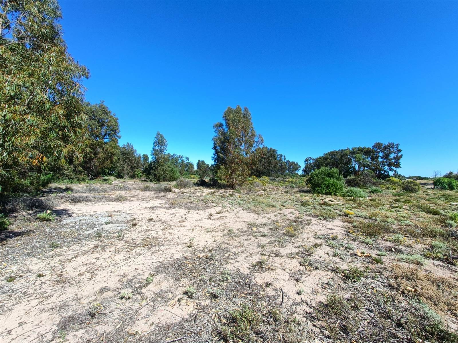 490 m² Land available in Britannia Bay photo number 7