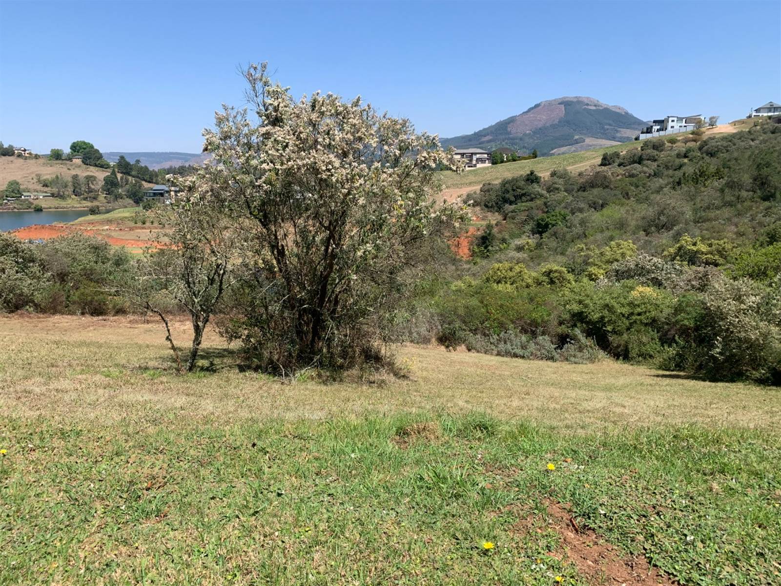 1186 m² Land available in Tzaneen photo number 7