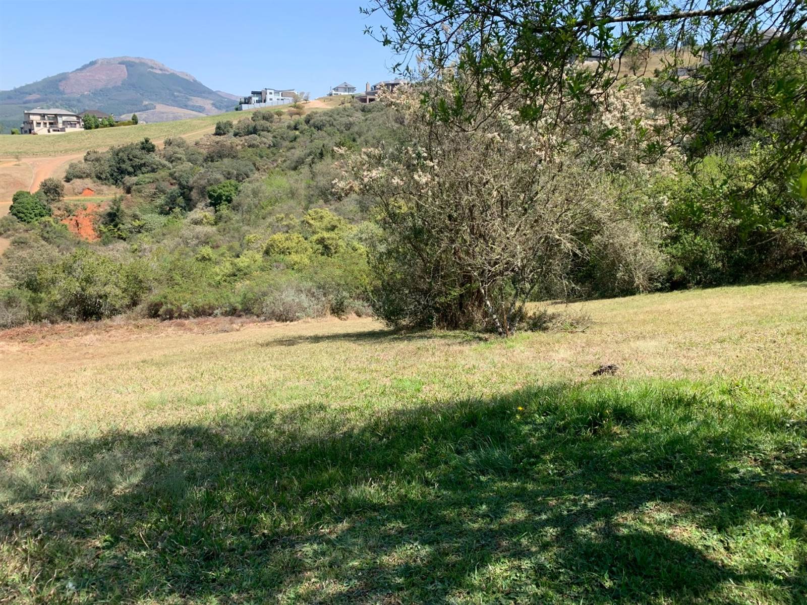 1186 m² Land available in Tzaneen photo number 13