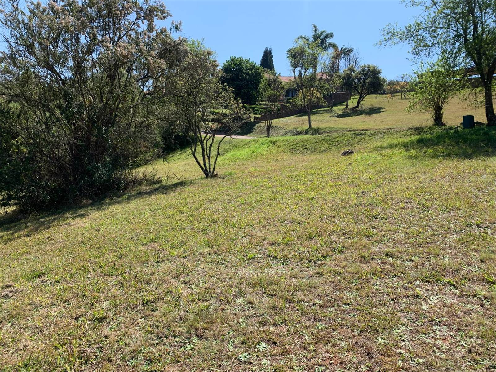 1186 m² Land available in Tzaneen photo number 10