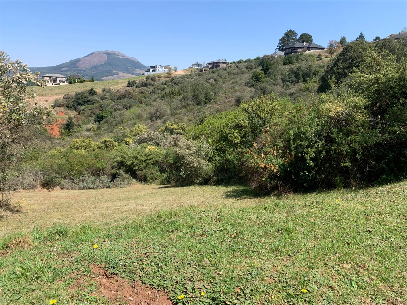 1186 m² Land available in Tzaneen photo number 8