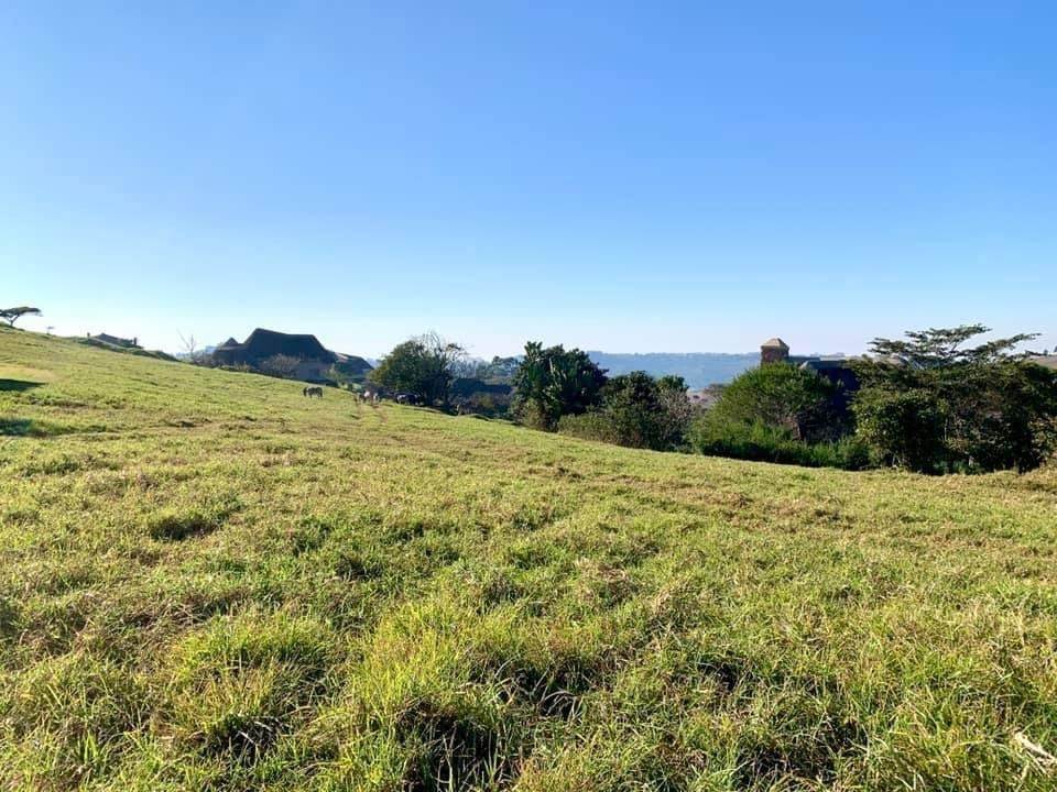 1842 m² Land available in Phezulu photo number 9