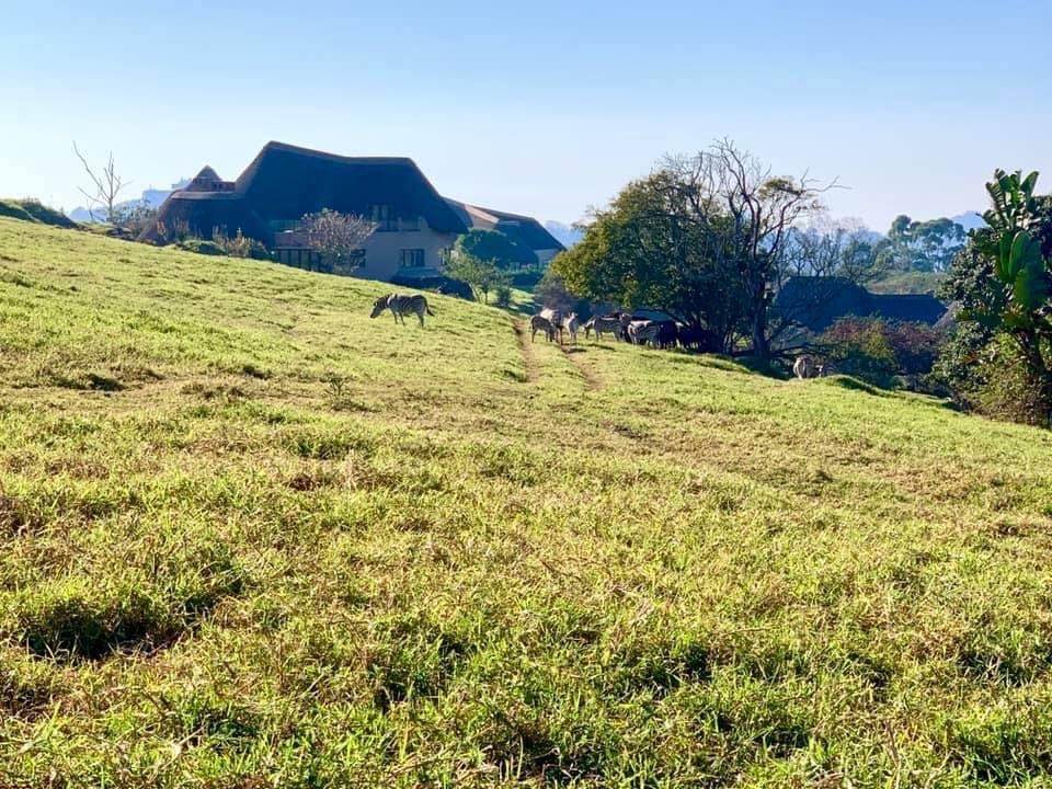 1842 m² Land available in Phezulu photo number 11