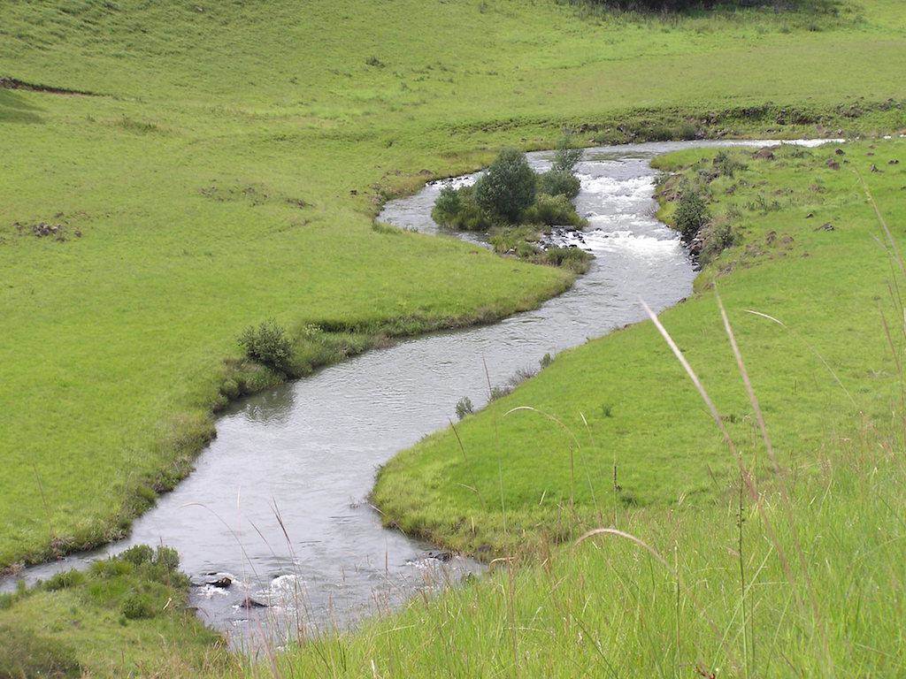 2000 m² Land available in Underberg photo number 9