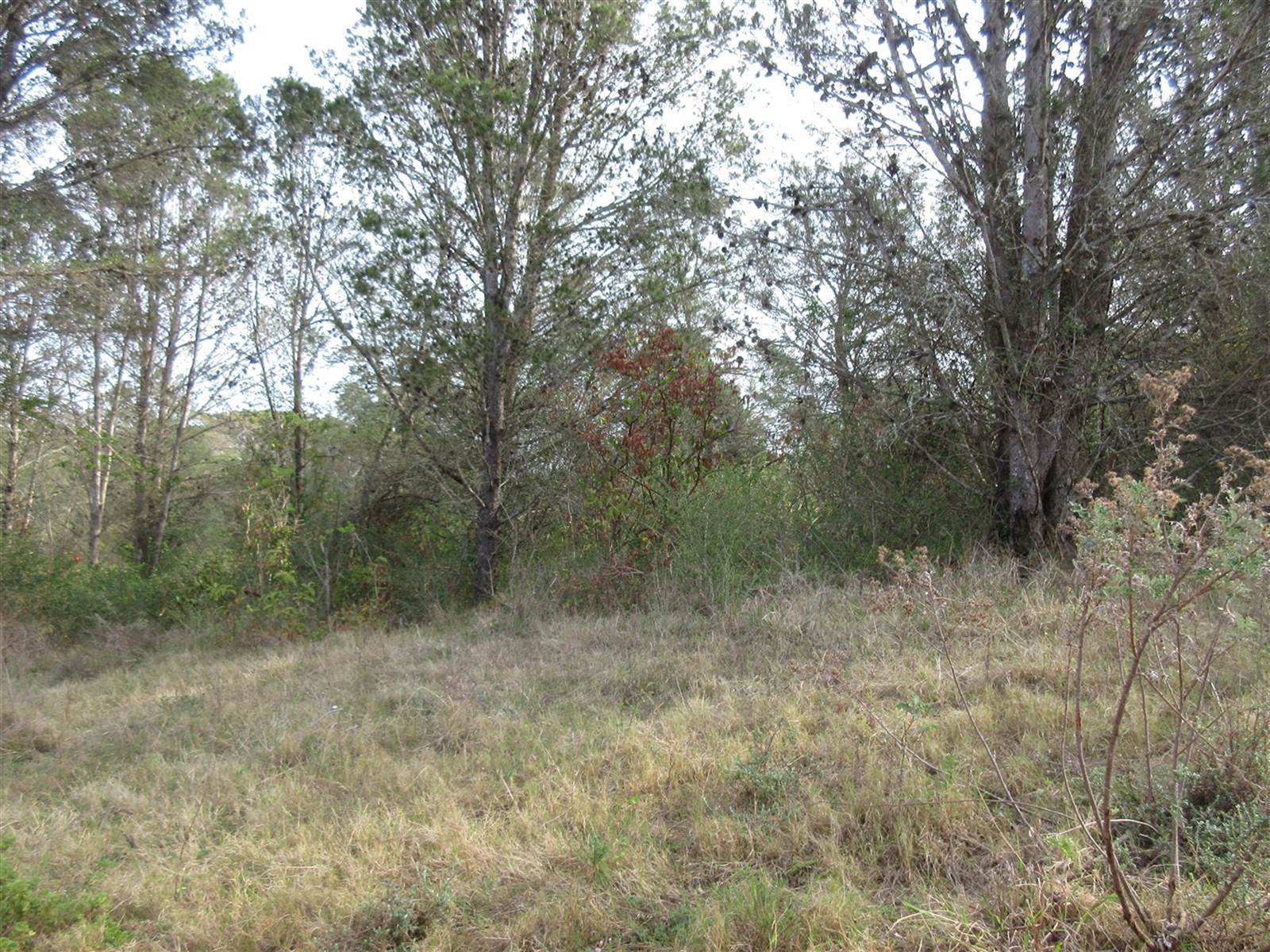 2000 m² Land available in Bathurst and Surrounds photo number 1