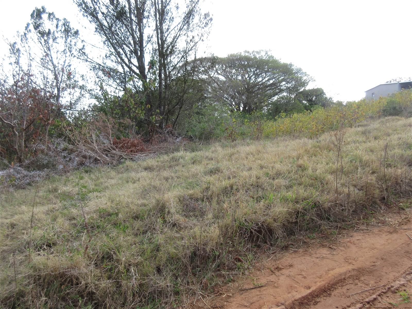 2000 m² Land available in Bathurst and Surrounds photo number 8