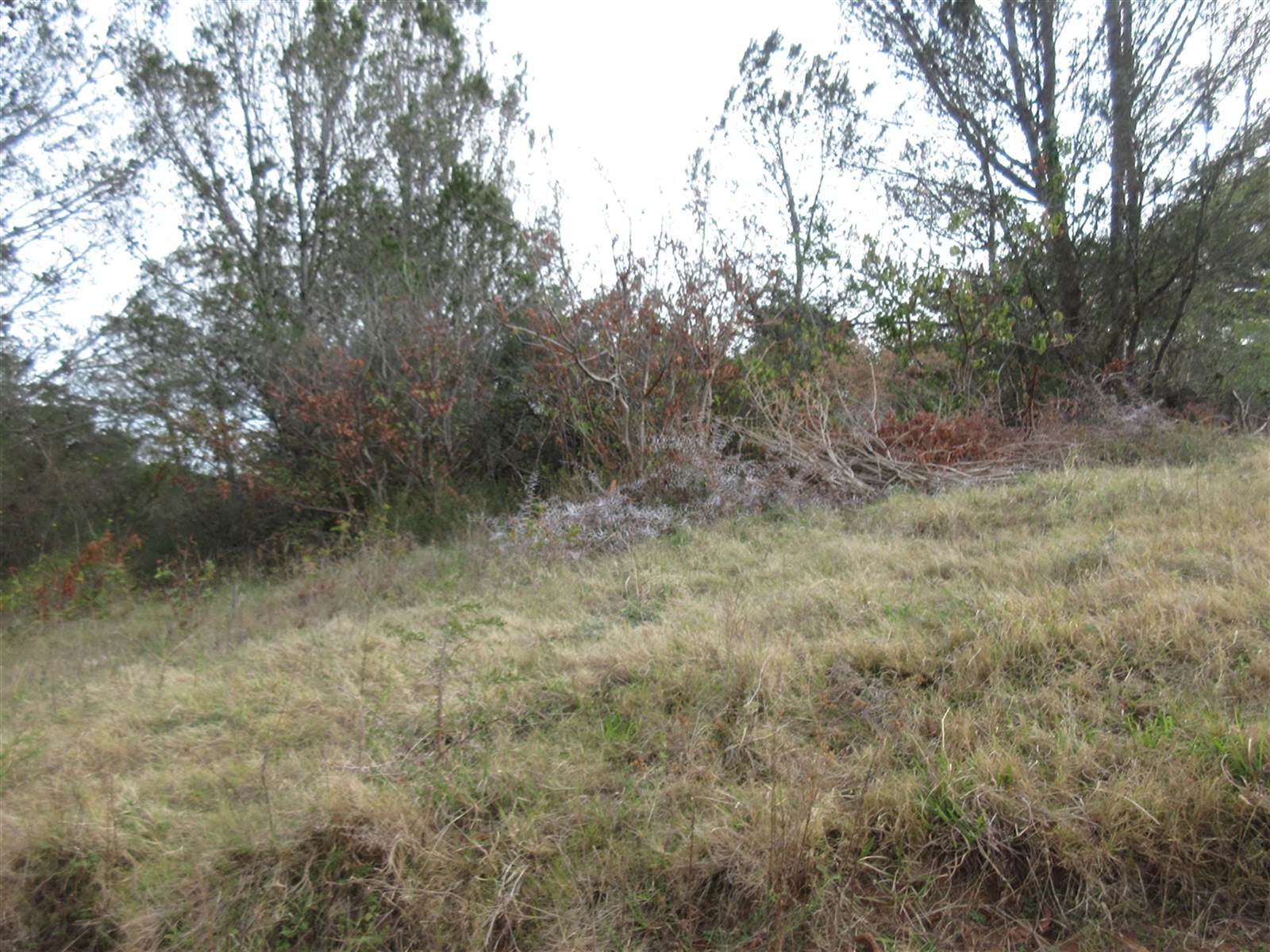 2000 m² Land available in Bathurst and Surrounds photo number 5