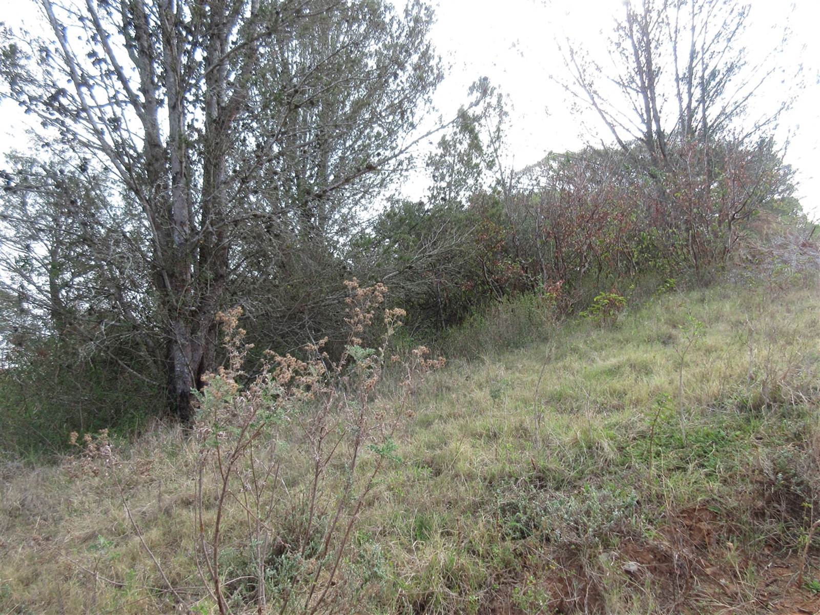 2000 m² Land available in Bathurst and Surrounds photo number 2
