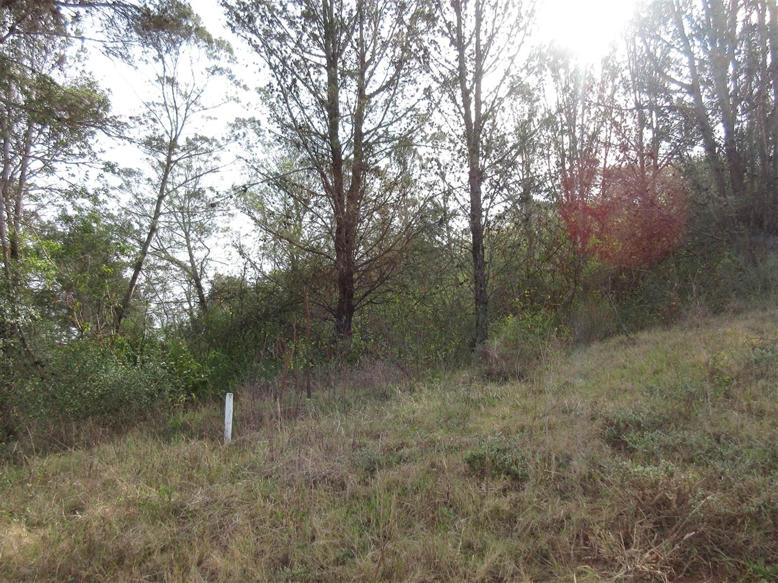2000 m² Land available in Bathurst and Surrounds photo number 9