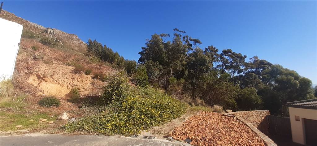 1371 m² Land available in Gordons Bay Central photo number 10