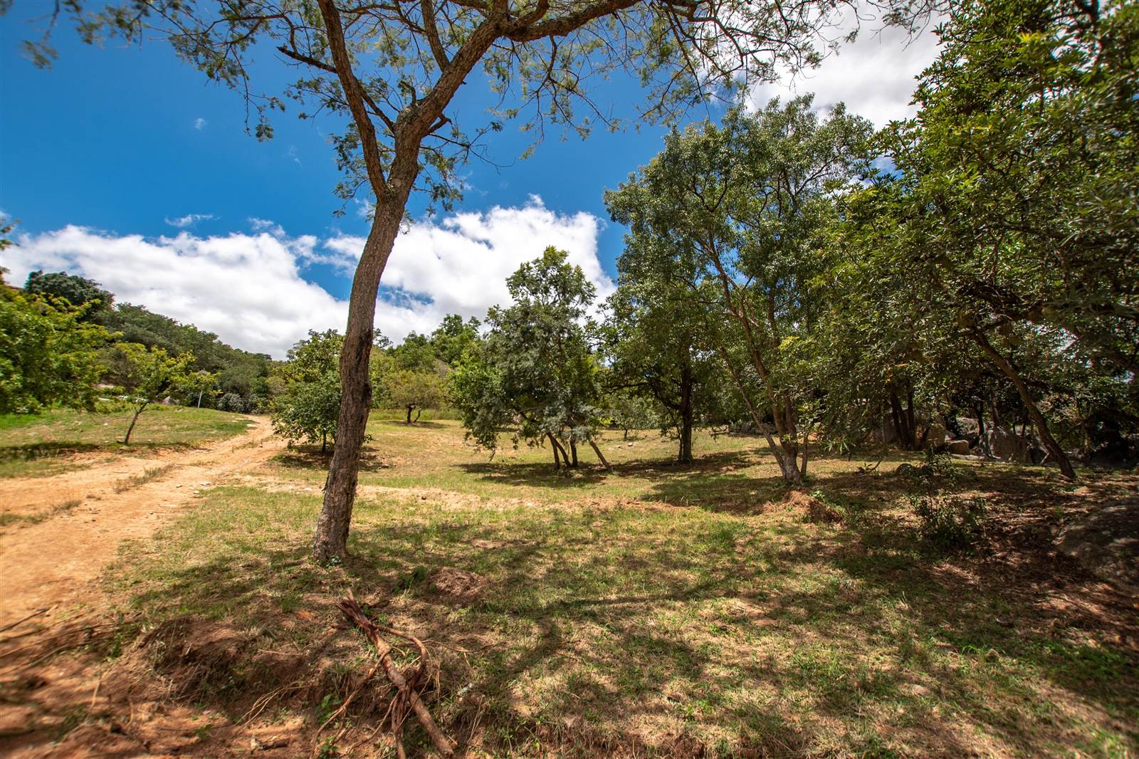 2668 m² Land available in The Rest Nature Estate photo number 12