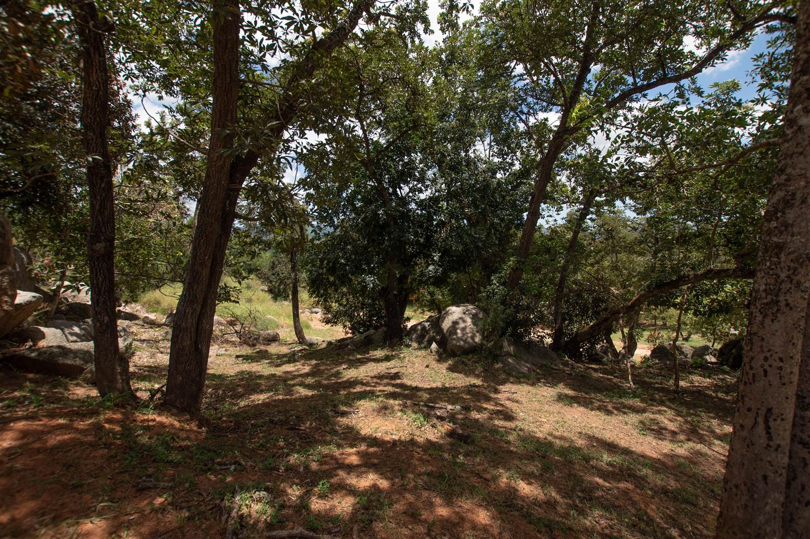 2668 m² Land available in The Rest Nature Estate photo number 10