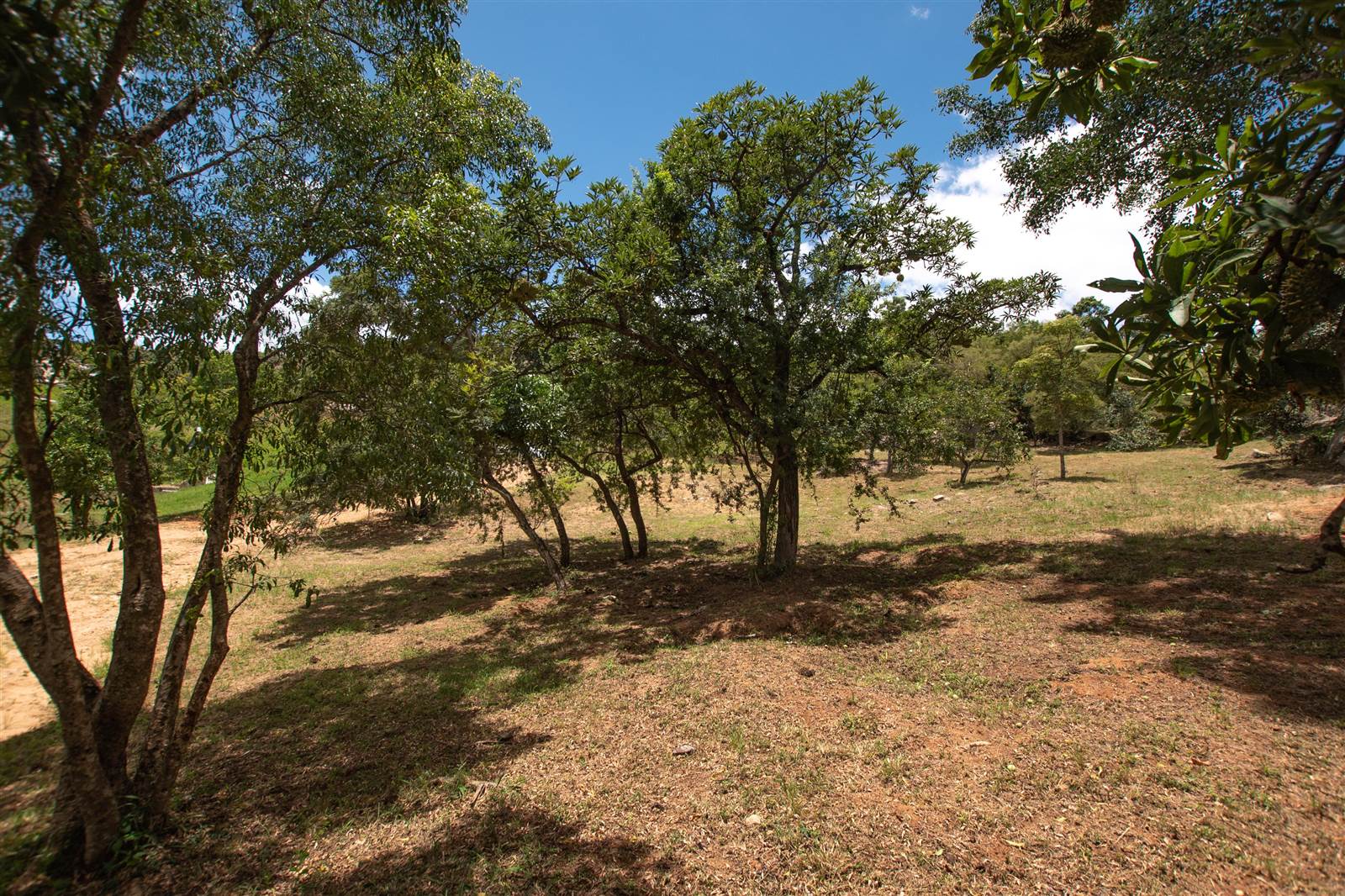 2668 m² Land available in The Rest Nature Estate photo number 11