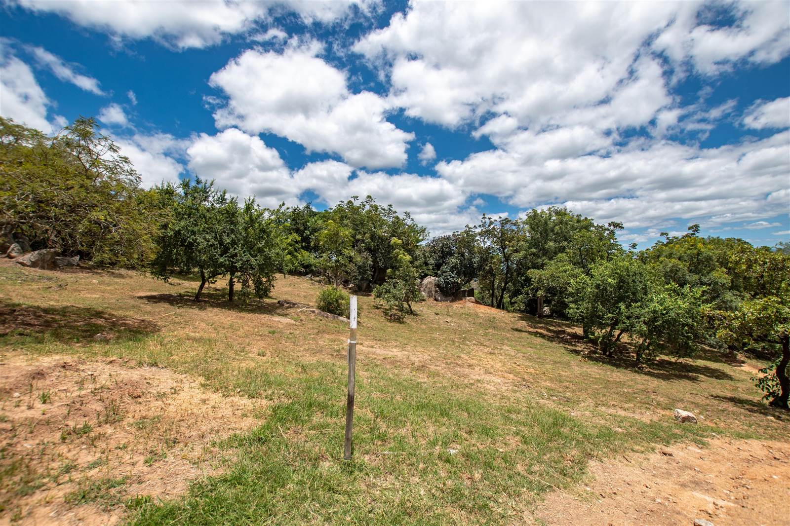2668 m² Land available in The Rest Nature Estate photo number 3