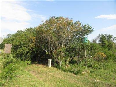 1560 m² Land available in Bathurst and Surrounds photo number 2