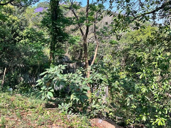1015 m² Land available in Northdene