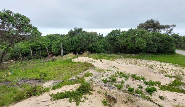 887 m² Land available in Gamtoos Mouth photo number 6