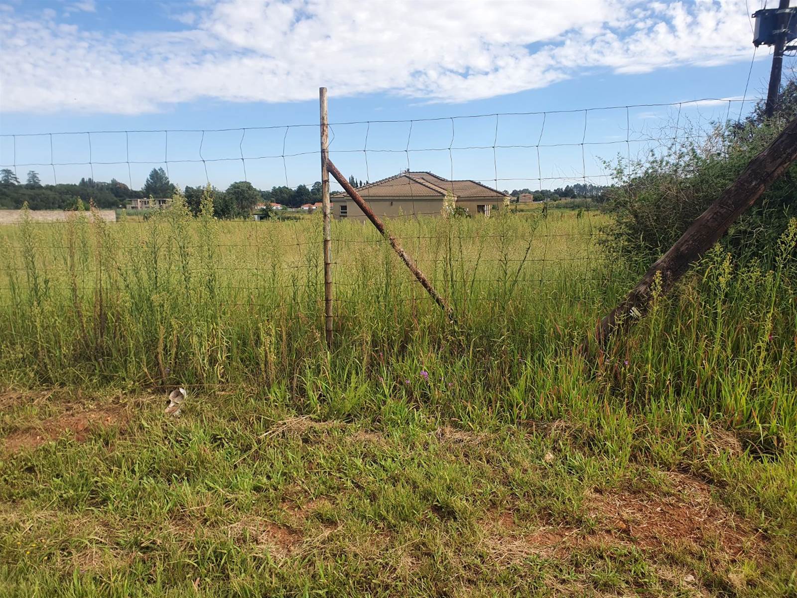 2025 m² Land available in Henley on Klip photo number 3