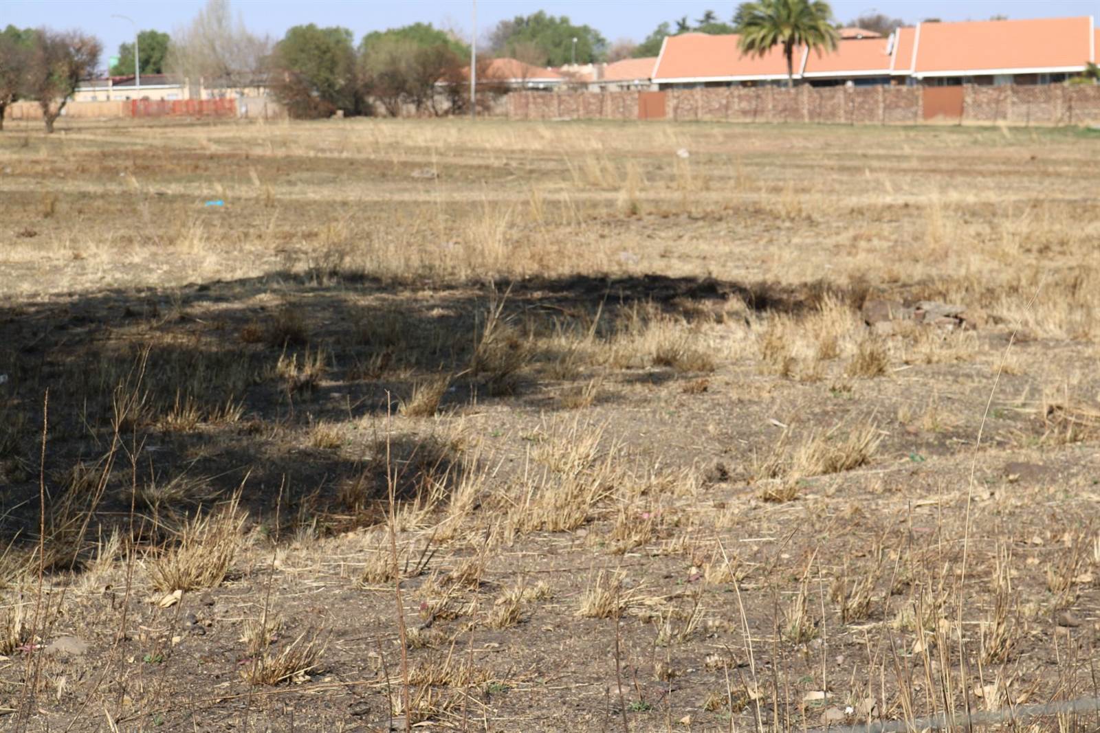 965 m² Land available in Riversdale photo number 6