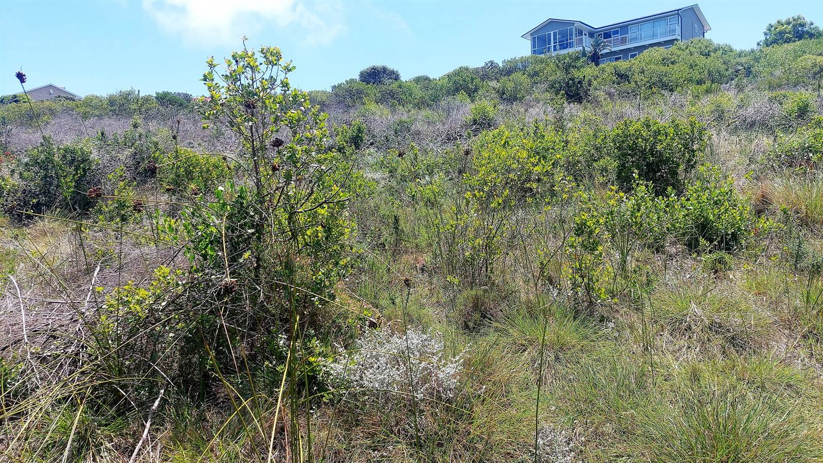 896 m² Land available in Dana Bay photo number 8