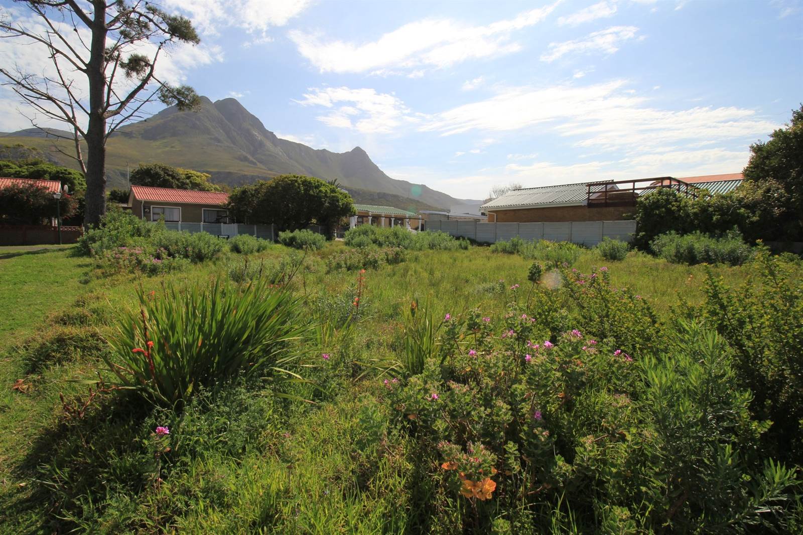 595 m² Land available in Kleinmond photo number 12