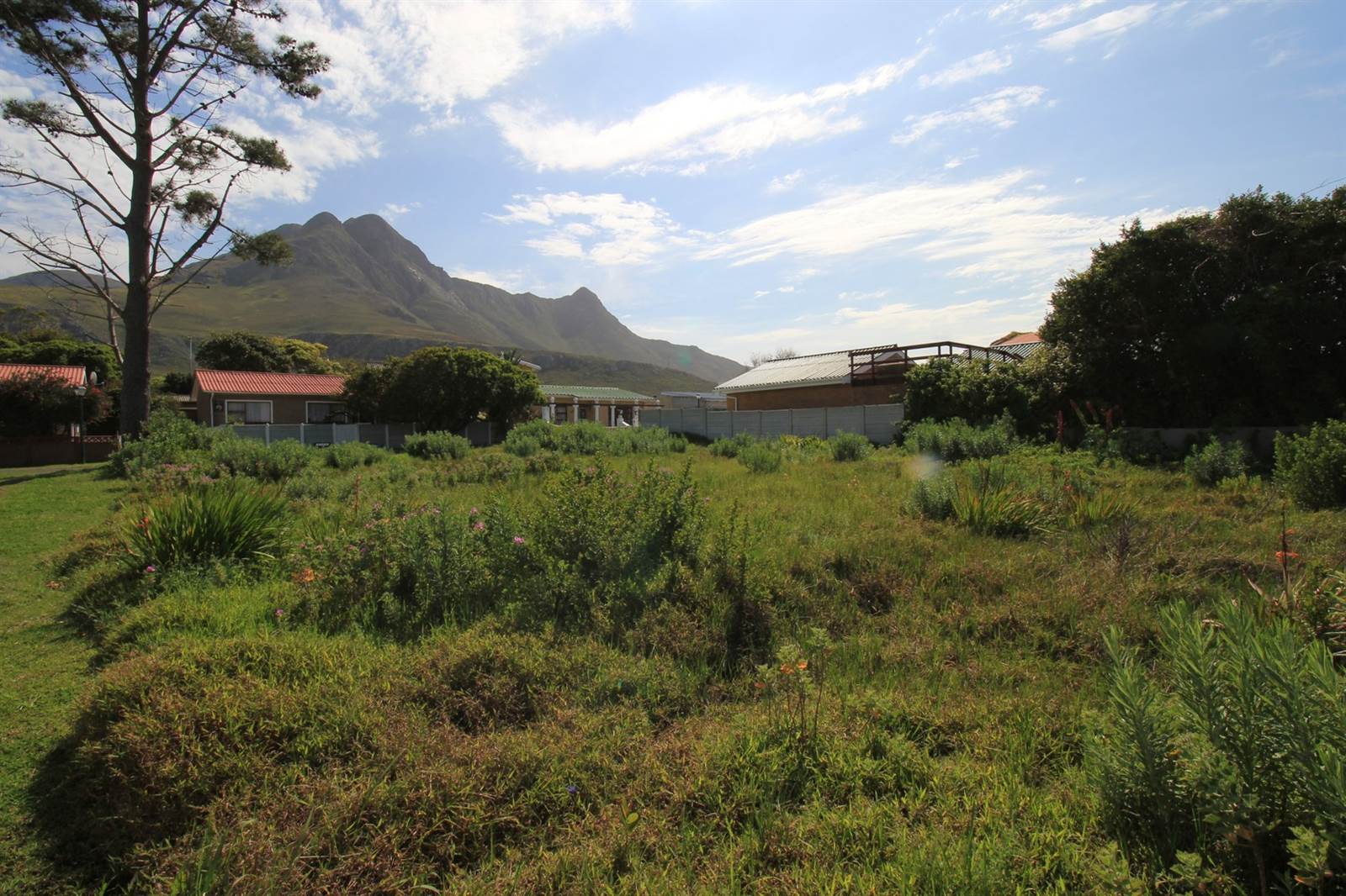 595 m² Land available in Kleinmond photo number 13