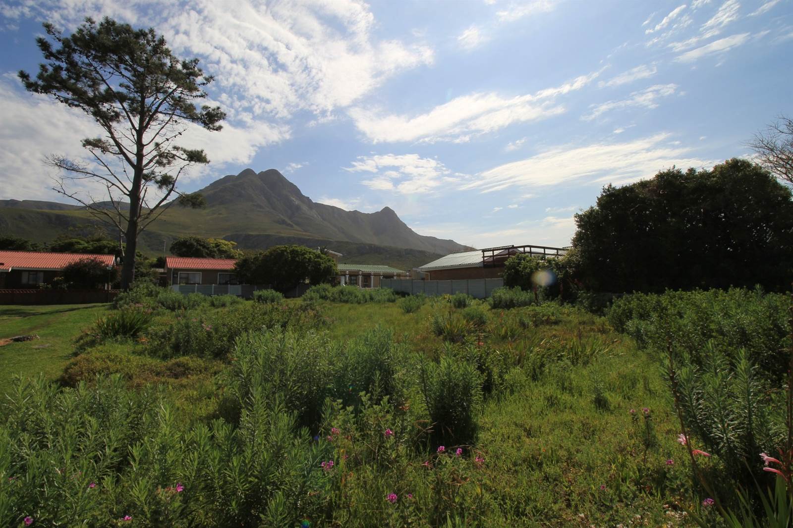 595 m² Land available in Kleinmond photo number 14