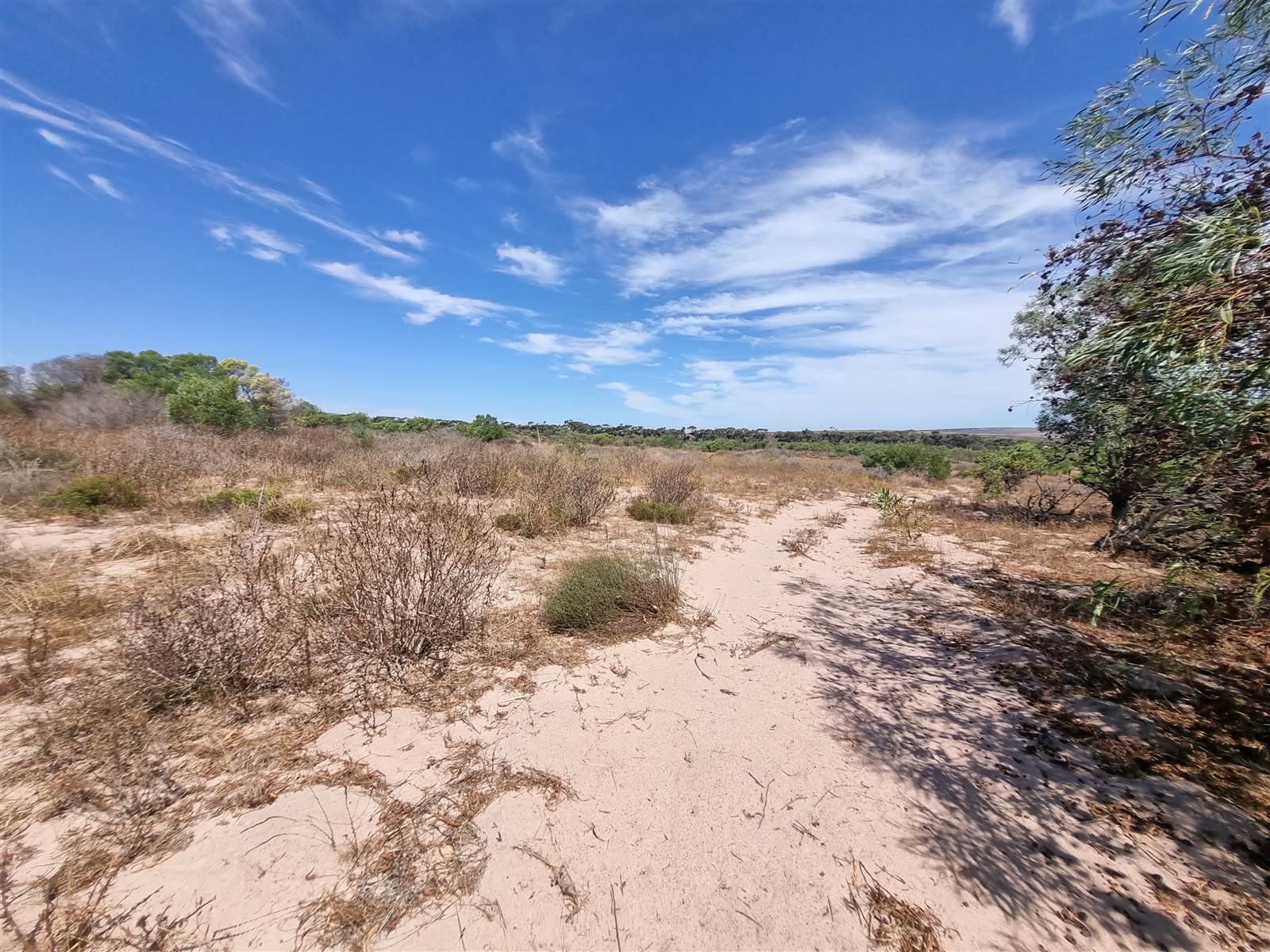 2.8 ha Land available in Long Acres photo number 8