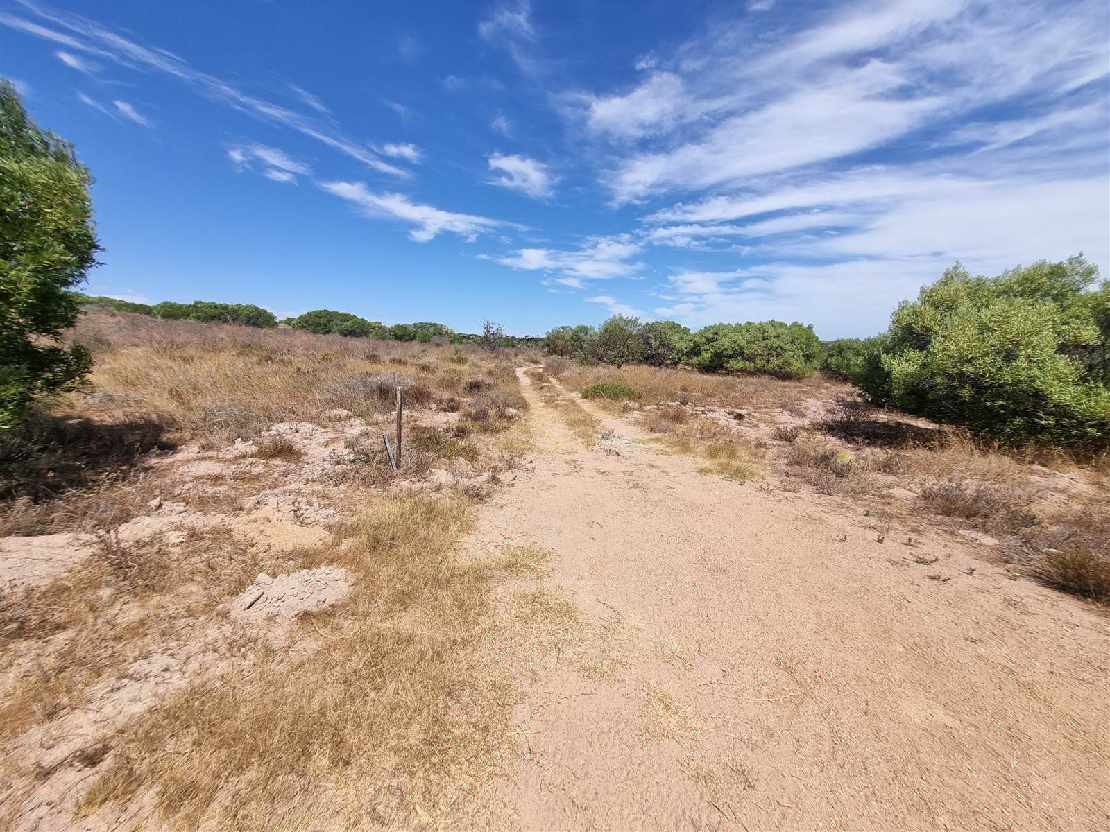 2.8 ha Land available in Long Acres photo number 5