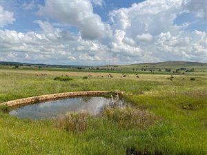 1 ha Land available in Bronkhorstbaai