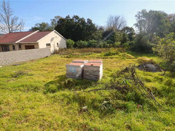 557 m² Land