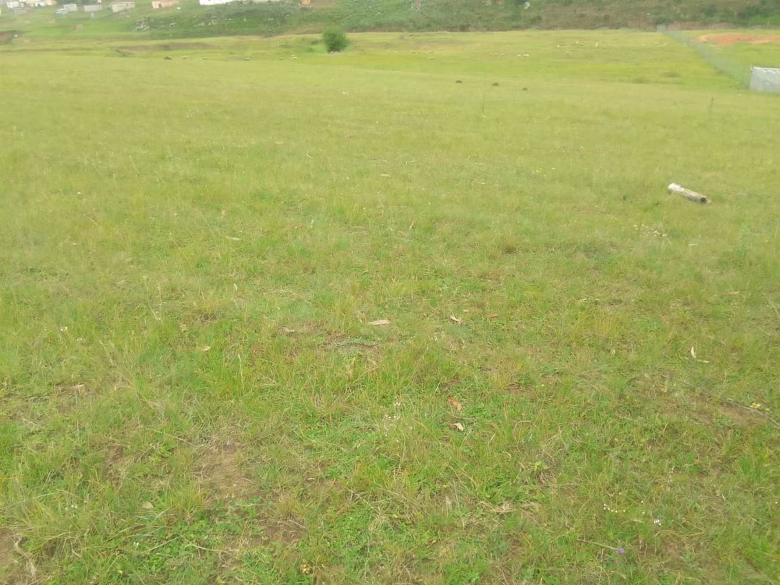 3.5 ha Land available in Mthata photo number 1