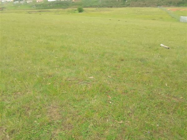 3.5 ha Land available in Mthata