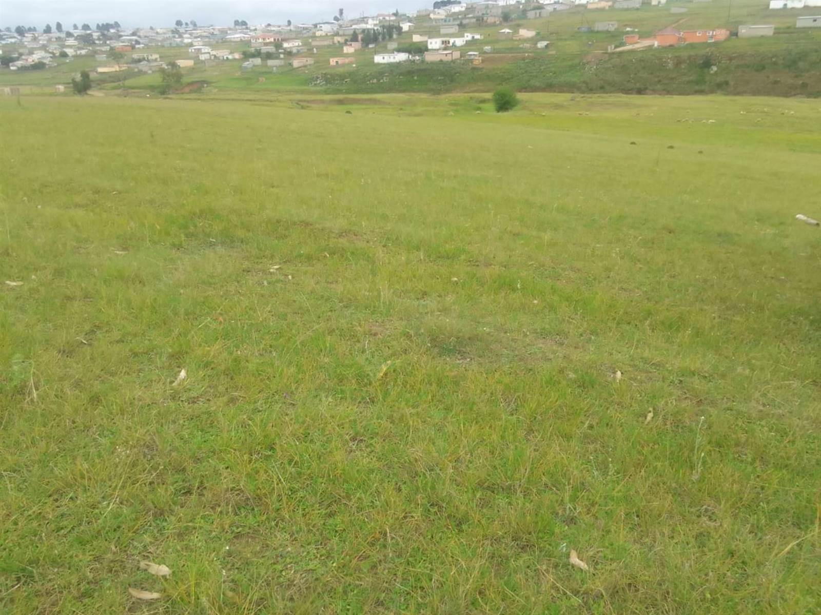 3.5 ha Land available in Mthata photo number 5