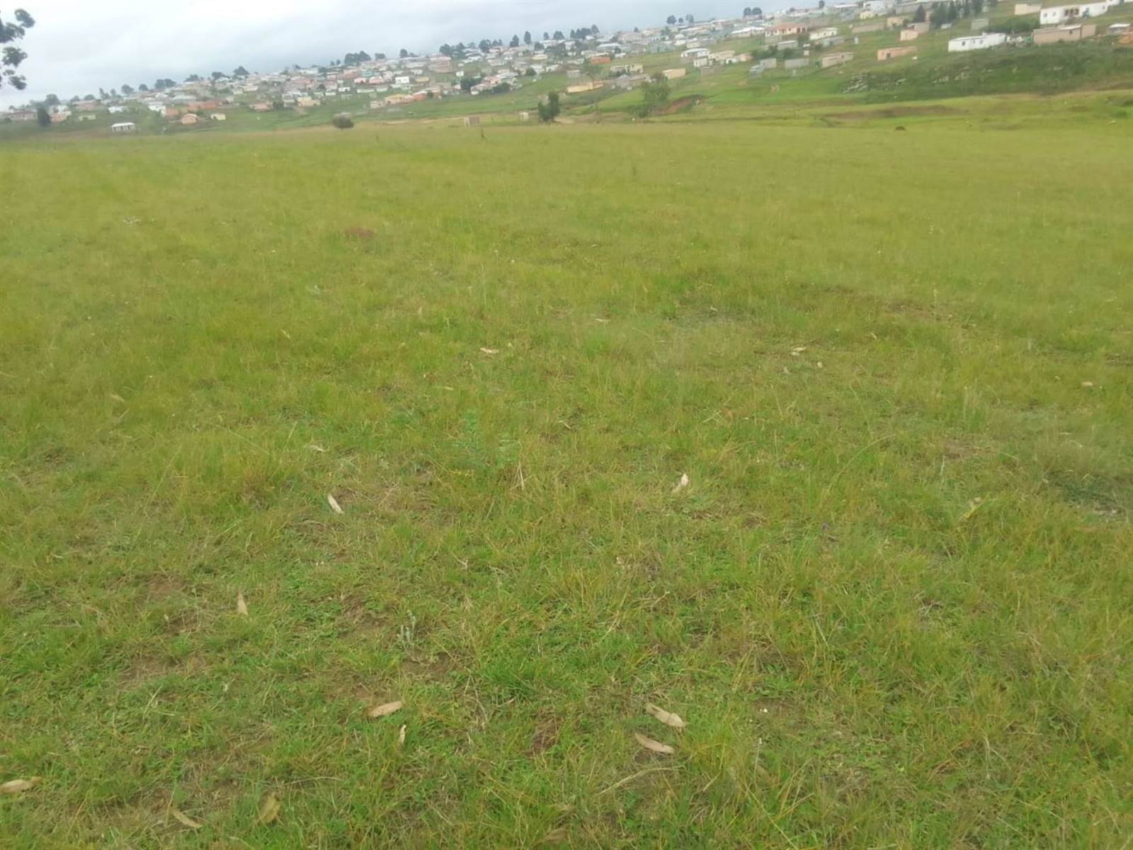 3.5 ha Land available in Mthata photo number 4